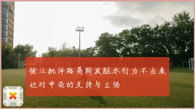 徐江批评路易斯泼脏水行为不当表达对申花的支持与立场