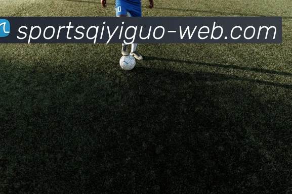 奇异果体育平台生态图